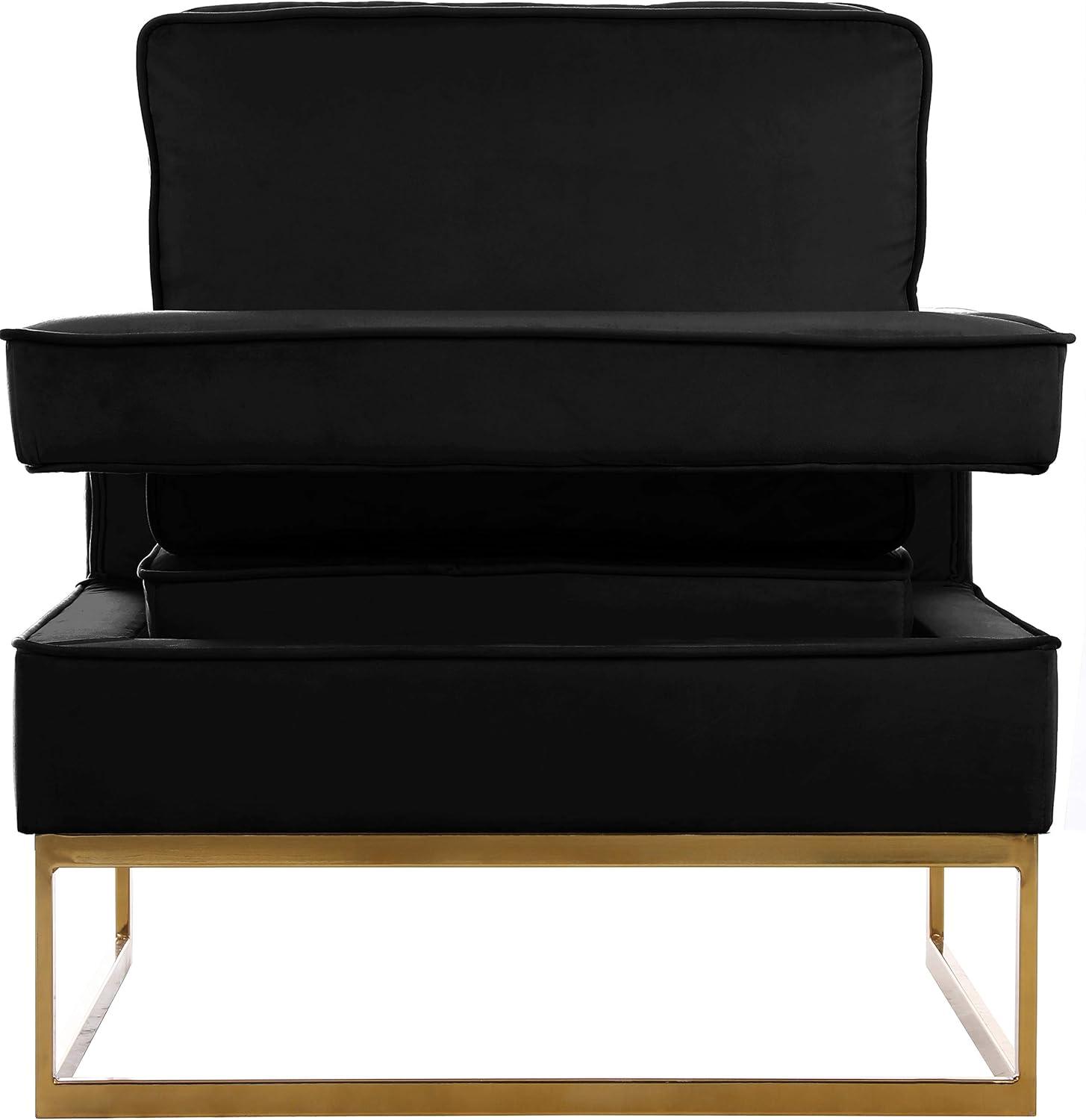 Meridian Furniture Noah 19"H Velvet Accent Chair in Black and Gold