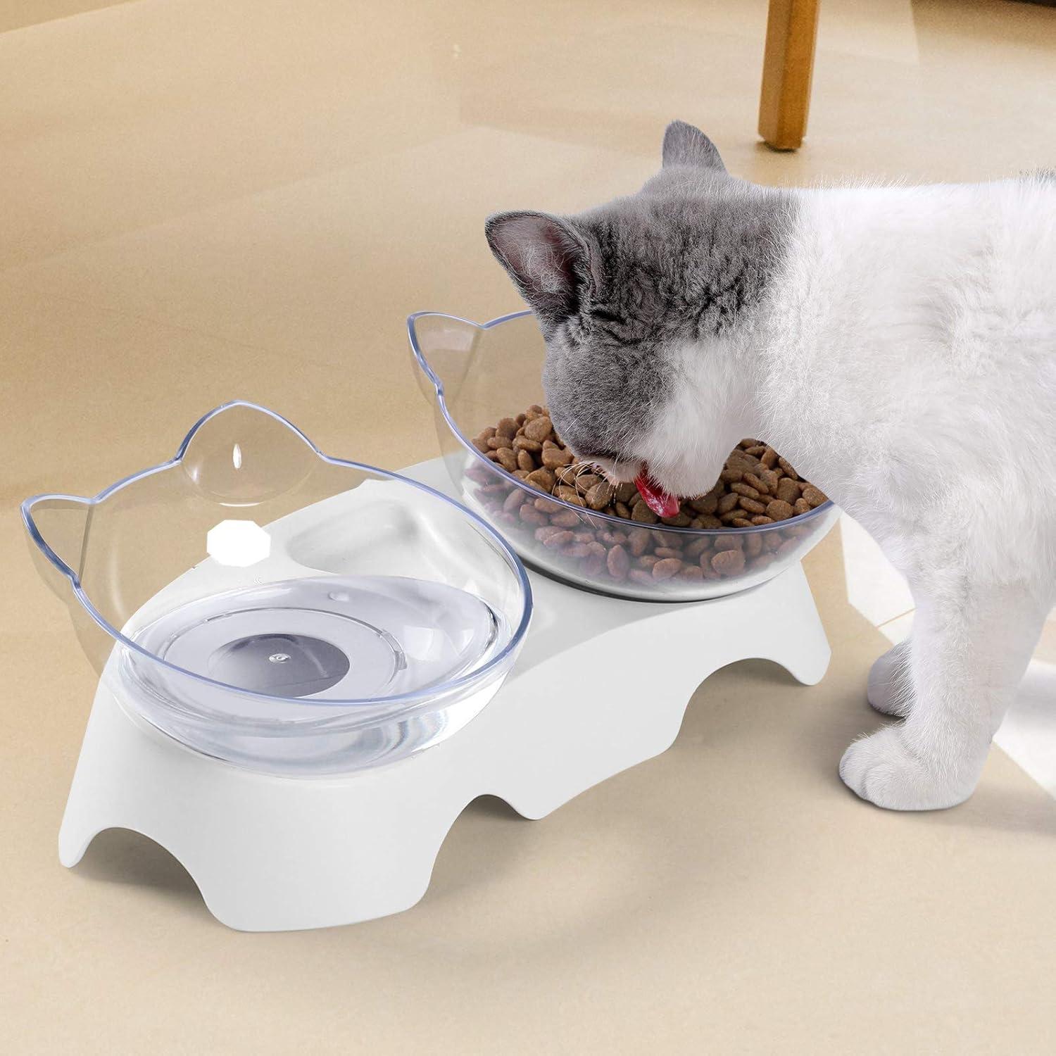 Elevated Tilted Clear Plastic Double Cat Bowls