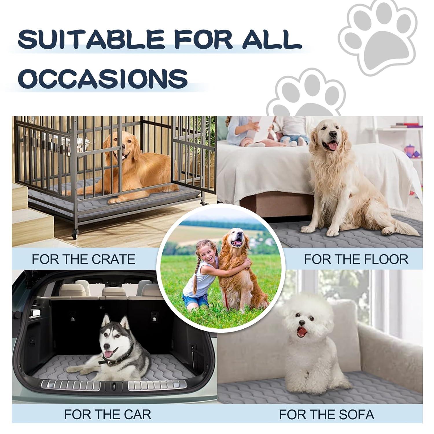Paw Inspired Washable Padded 42" Crate Mats for Dogs | 41" x 28" Size, Fits 42-inch Kennels | Anti-Slip, Leakproof, Waterproof, Reusable Plush Pet Pads (Gray)