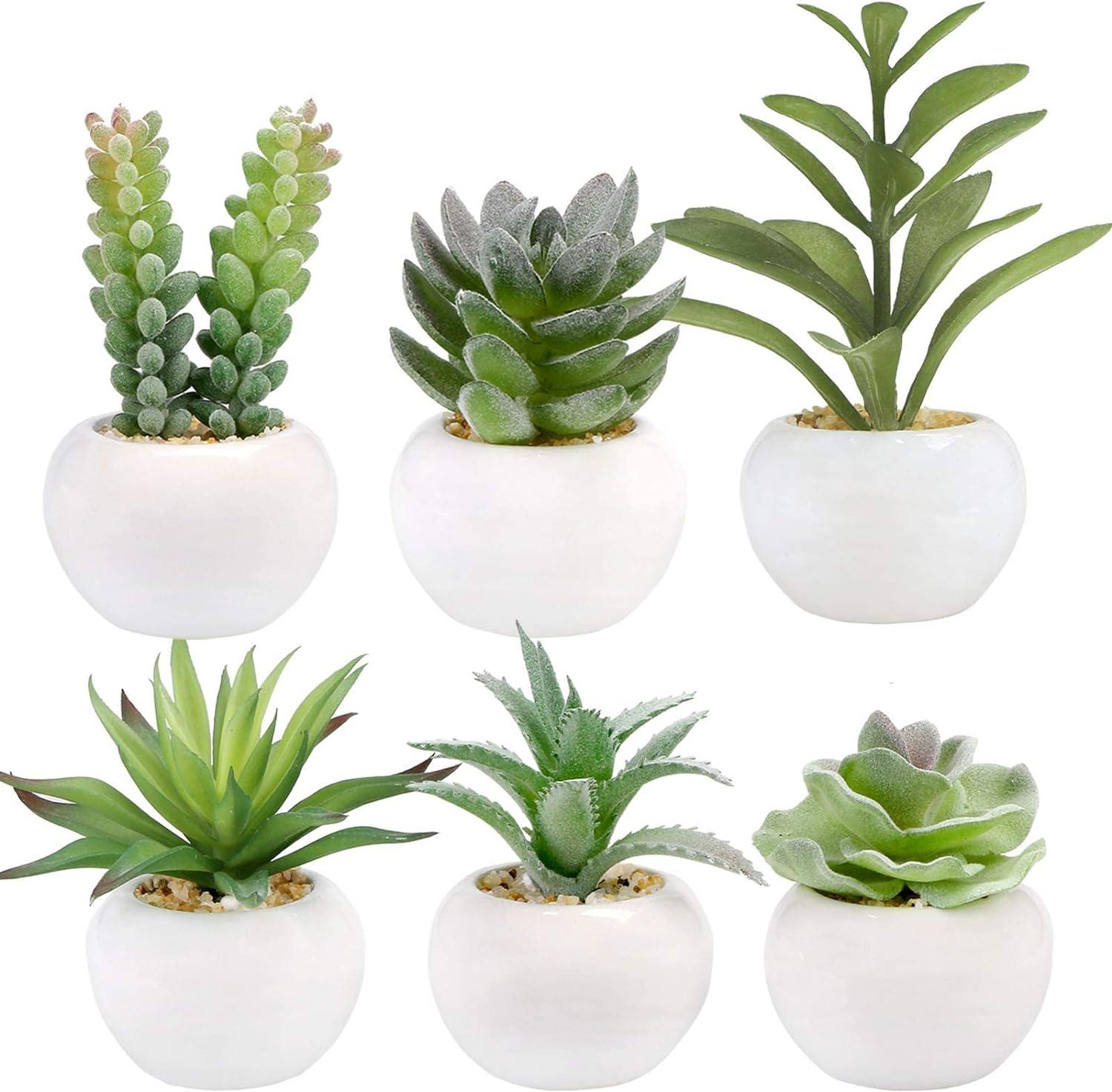 Set of 6 Green Artificial Succulents in White Ceramic Pots