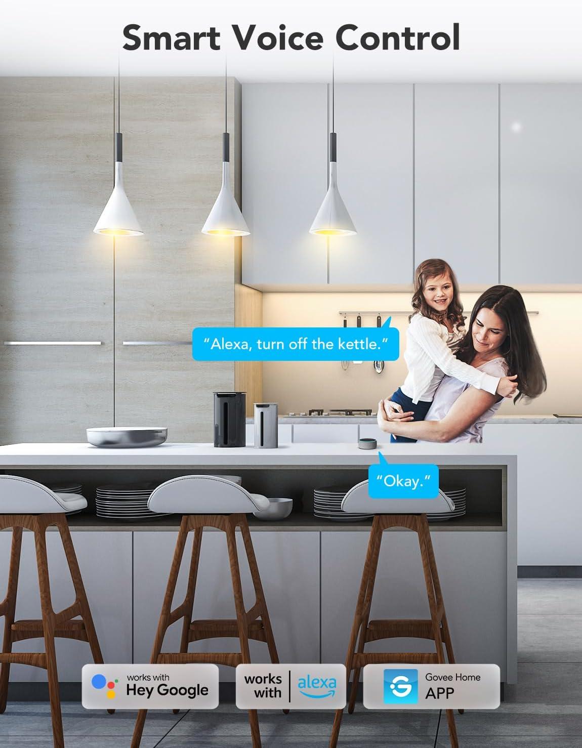 Govee Smart Plug with Energy Monitoring, WiFi Bluetooth Plug Work with Alexa and Google Assistant, 15A Smart Outlets with Timer & Group Controller, No Hub Required, ETL&FCC Certified for Home, 1 Pack