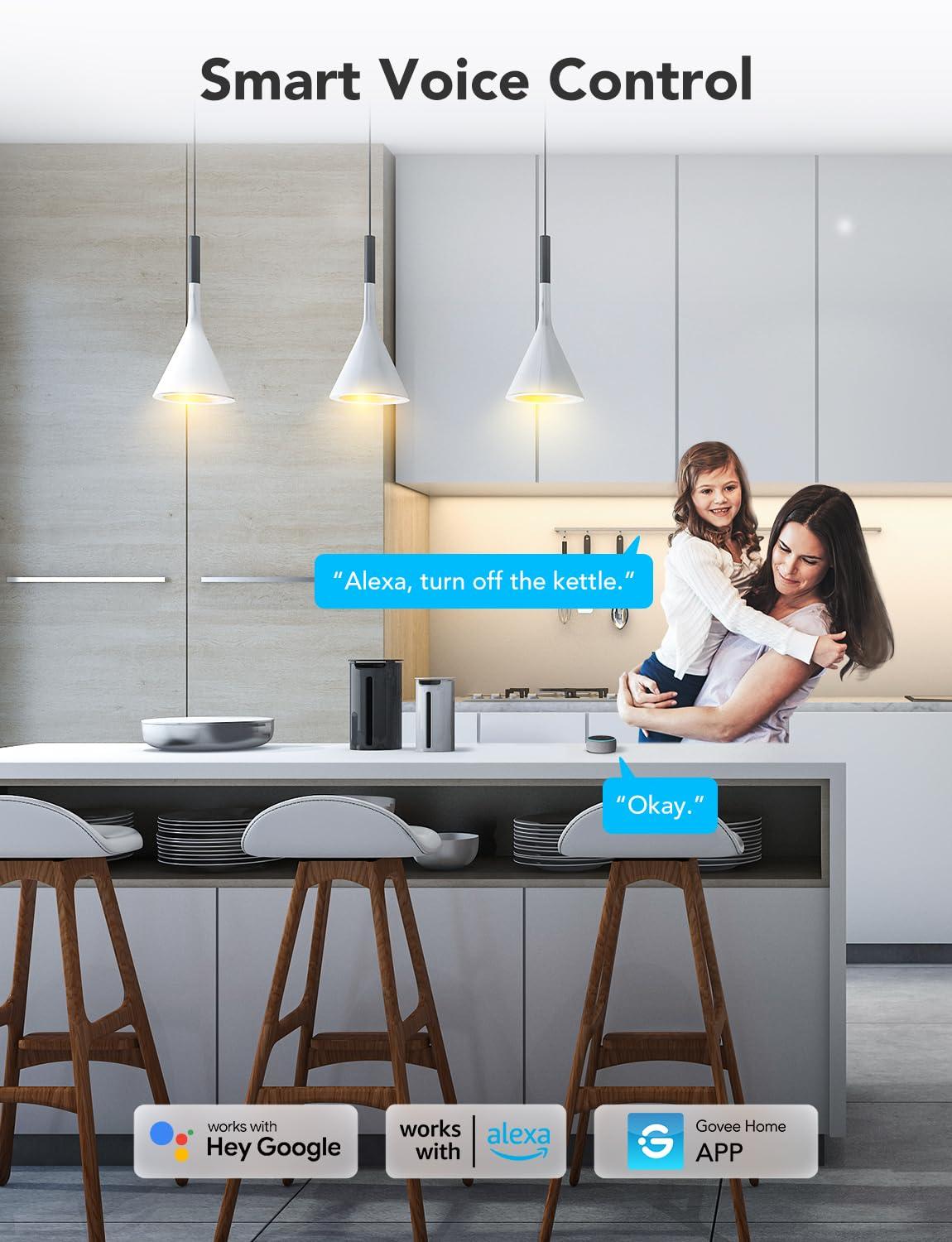 Govee Smart Plug with Energy Monitoring, WiFi Bluetooth Plug Work with Alexa and Google Assistant, 15A Smart Outlets with Timer & Group Controller, No Hub Required, ETL&FCC Certified for Home, 1 Pack