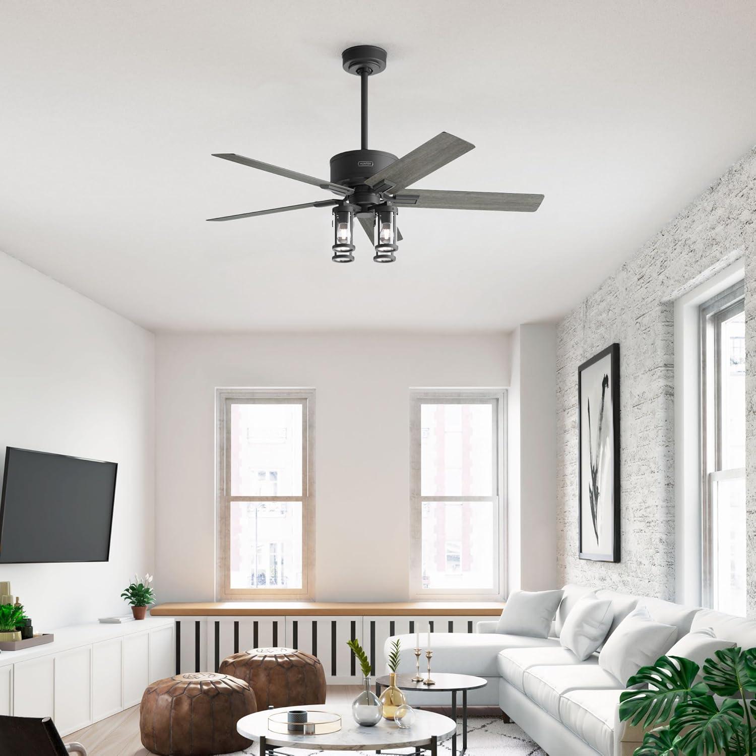 Hunter Fan Hunter 52 inch Astwood II Ceiling Fan with Lights and Remote