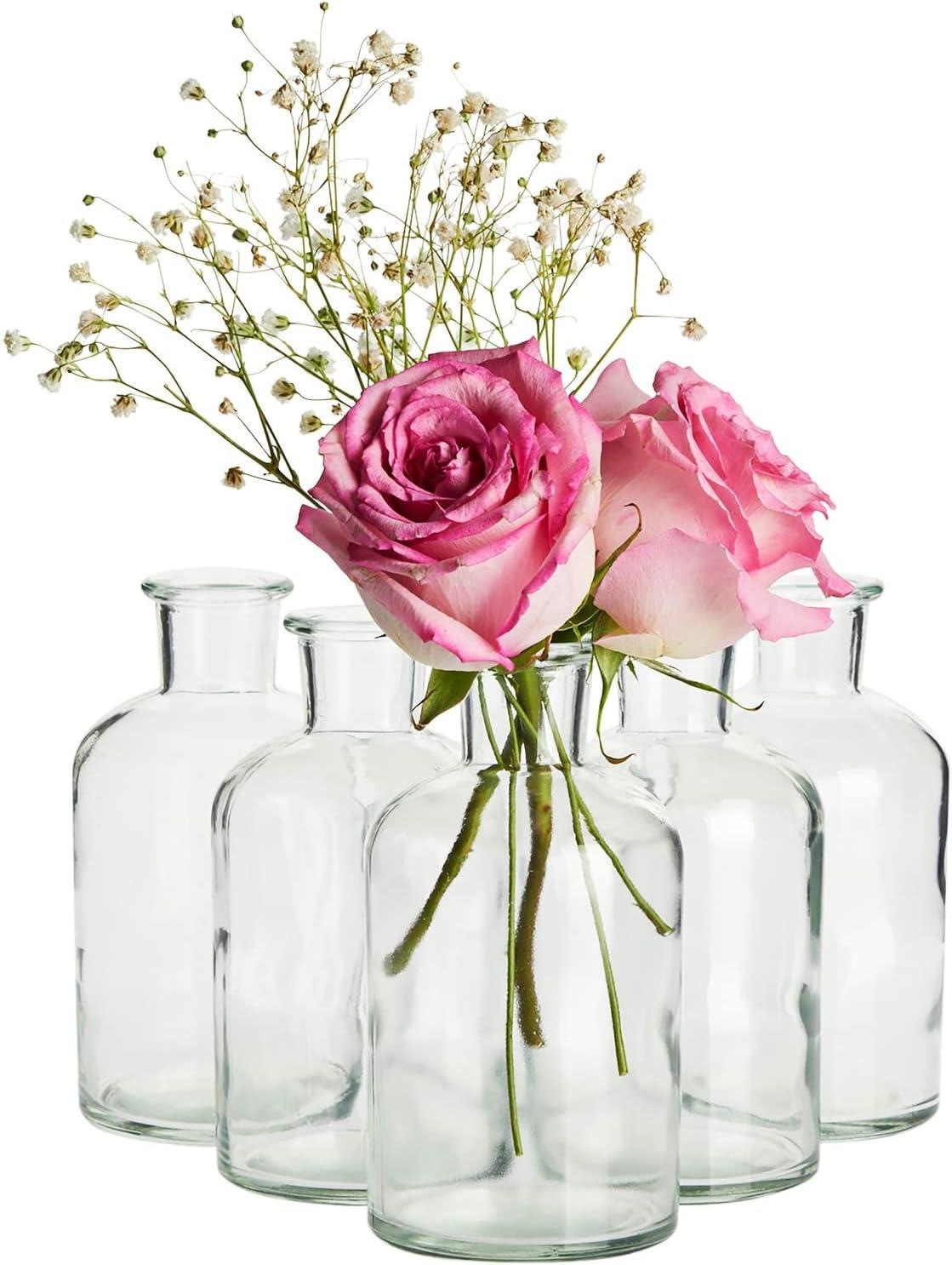 Juvale Farmlyn Creek 6-Pack Small Clear Vases for Centerpieces, Glass Jars for Stems, Flower Buds, Home Décor (2.8x5 In)