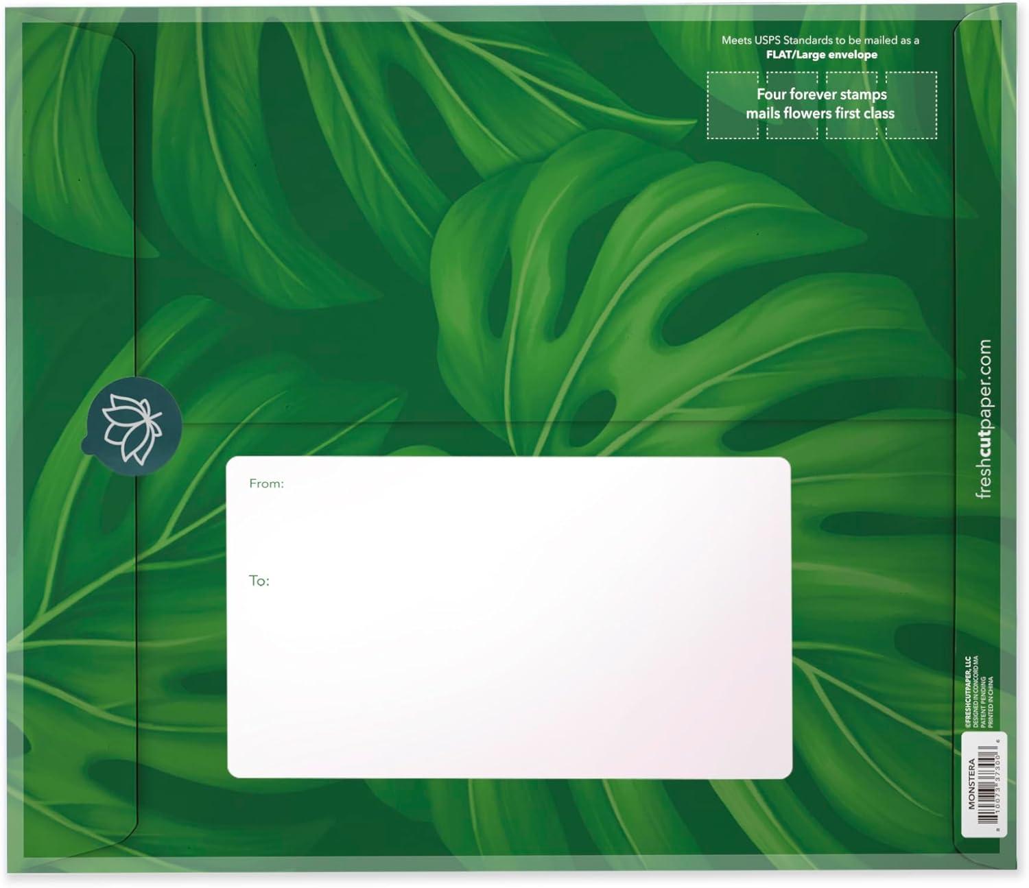 Freshcut Paper Pop Up Cards, Monstera, 12 Inch Life Sized Paper House Plants 3D Popup Greeting Cards, Birthday Card, Thank You Card, Blank Notecard & Envelope