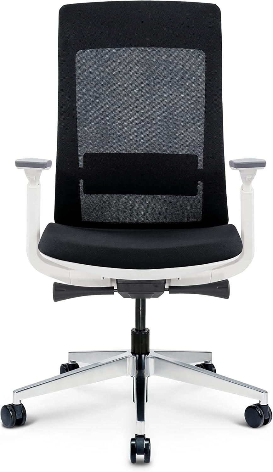 Eurotech Elevate Ergonomic Adjustable Office Chair, White Frame Black Mesh