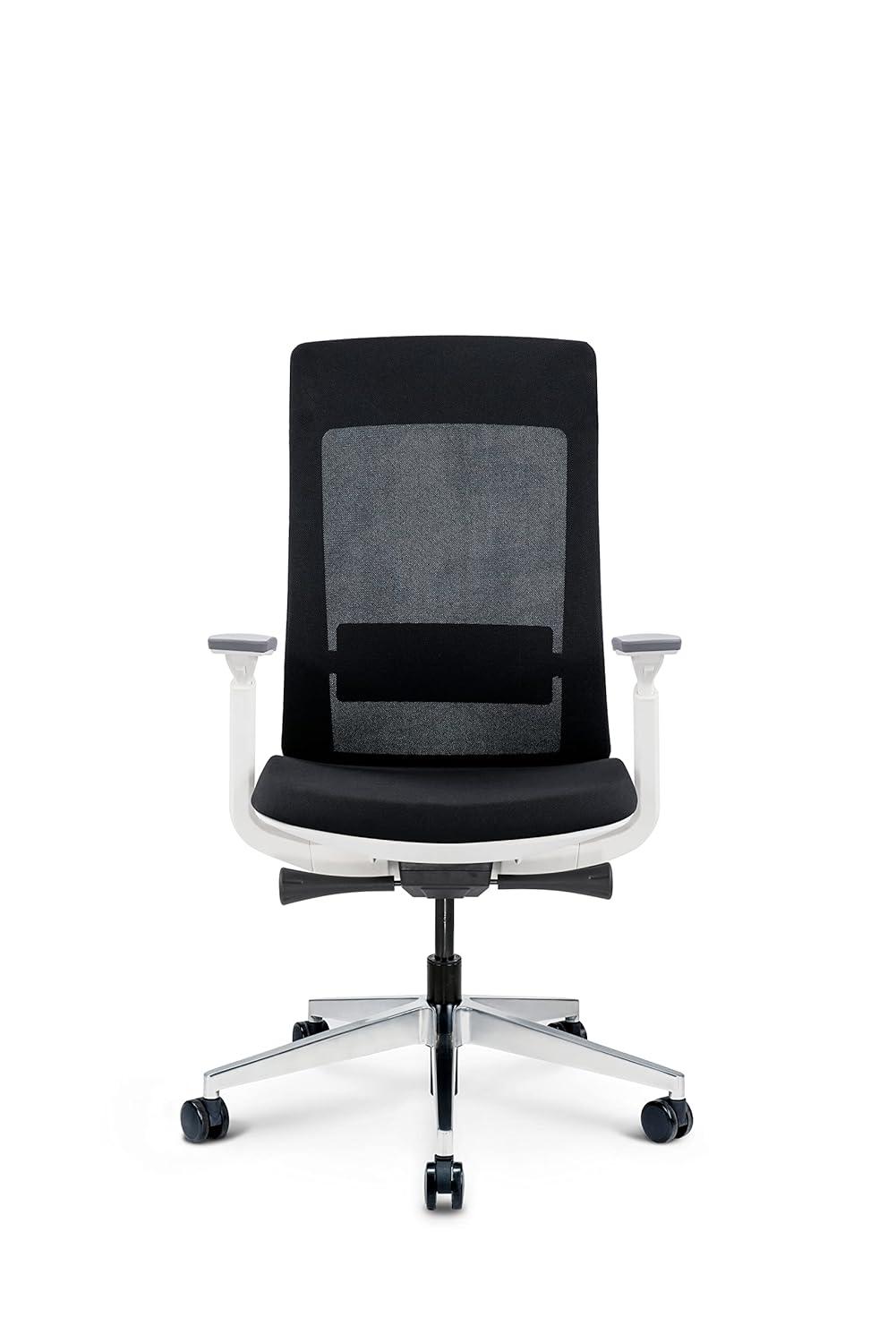 Eurotech Elevate Ergonomic Adjustable Office Chair, White Frame Black Mesh