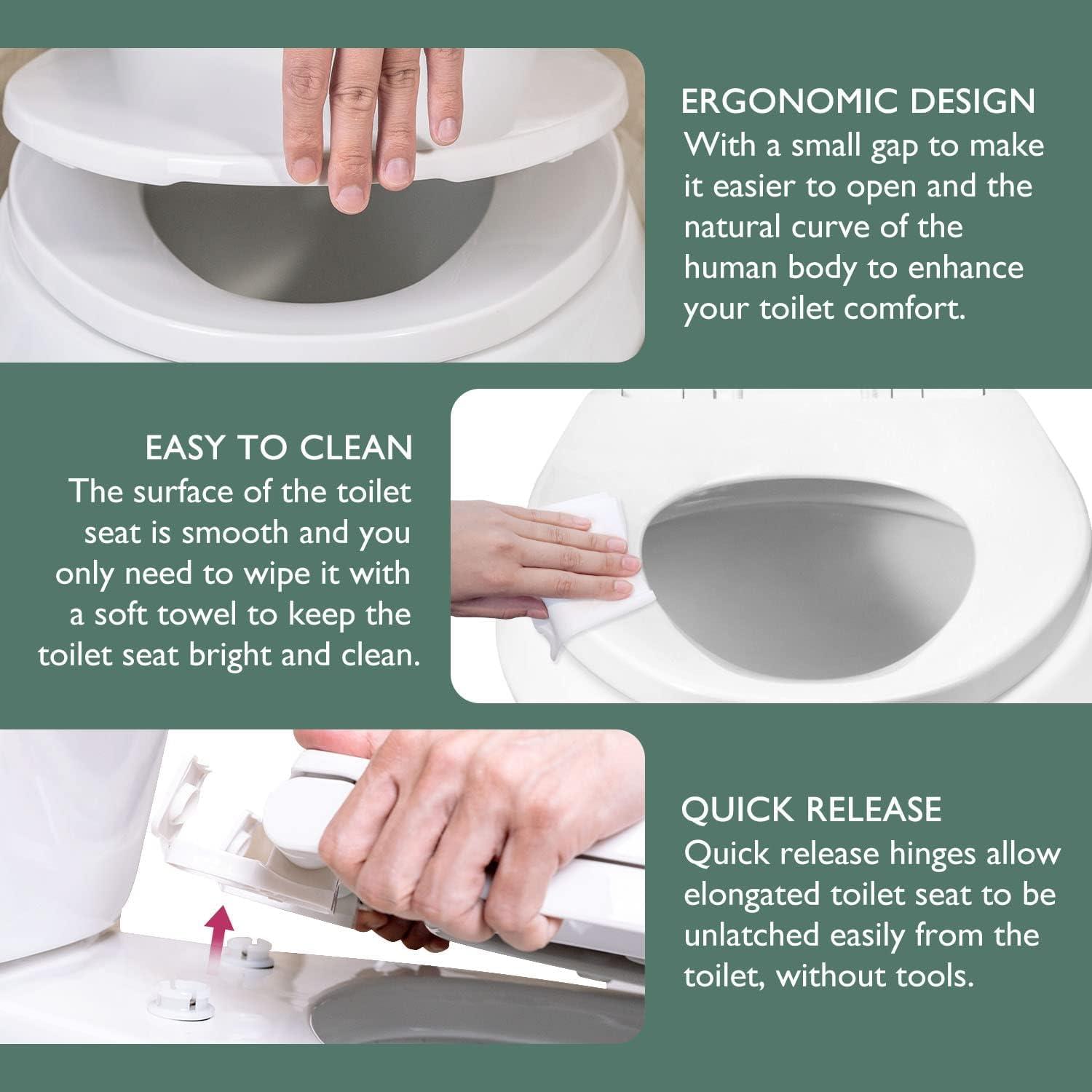 Elongated Toilet Seat and Lid