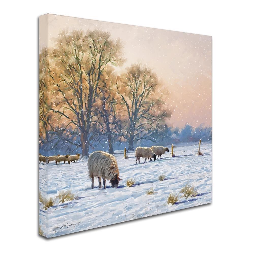 Trademark Fine Art The Macneil Studio " Winter Sheep " by The Macneil Studio