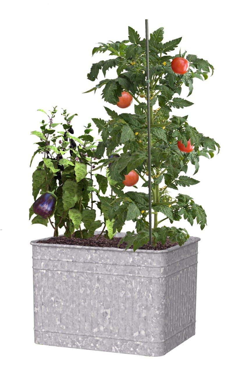 Wension Vintage Square Raised Garden Bed Planter