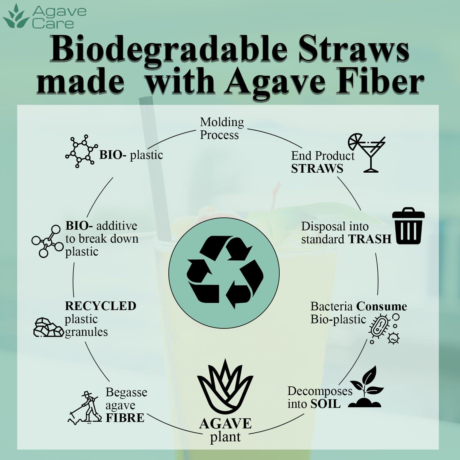 Agave Care Sustainable Agave Straws - 5.9" - Natural - Unwrapped - 150 Count - 3 oz