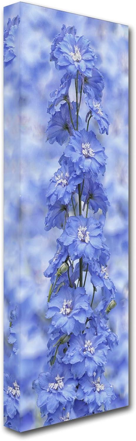 Trademark Fine Art 'Blue Larkspur' Canvas Art by Cora Niele