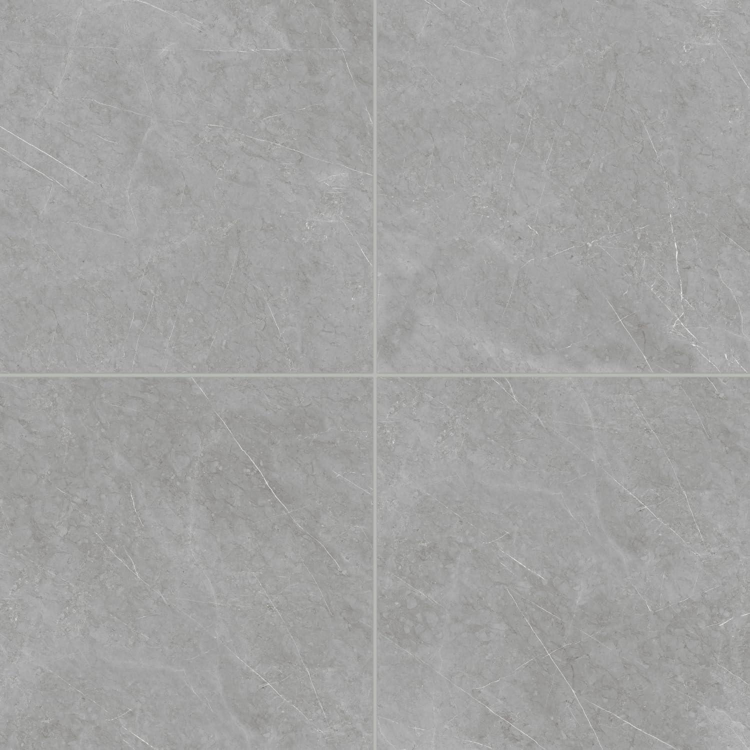 Shandar 24" x 24" Porcelain Marble Look Wall Floor Use Tile in Florence Gray