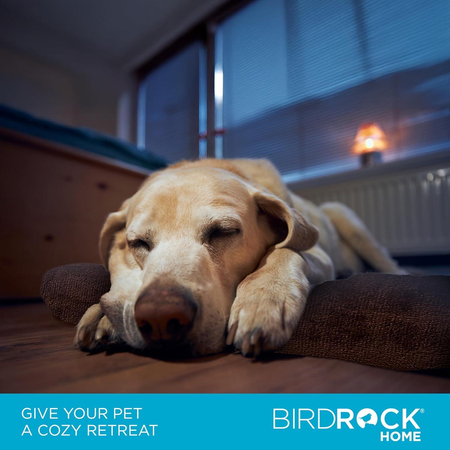 BirdRock Home Orthopedic Polyester Pet Bed
