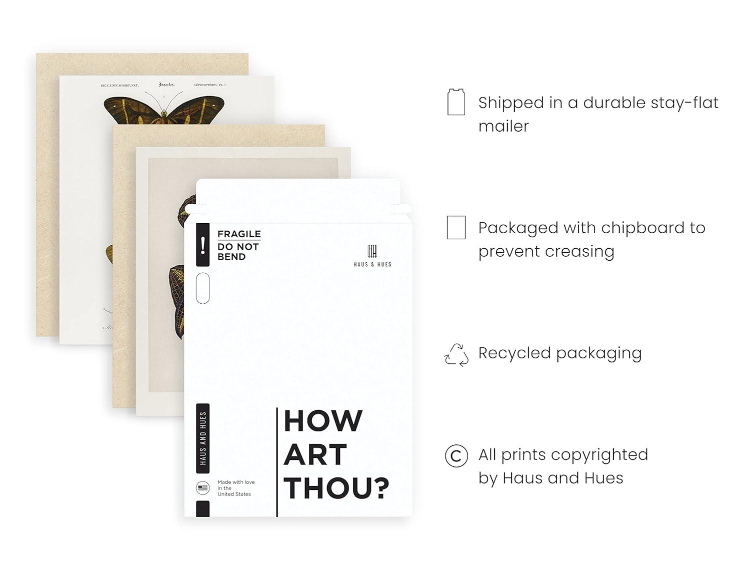 HAUS AND HUES Vintage Art Prints - Butterfly Posters for Room Aesthetic Vintage, Nature Posters, Botanical Vintage Posters, Cottagecore Poster, Wall Gallery Decor, Classic Art Poster (Unframed)