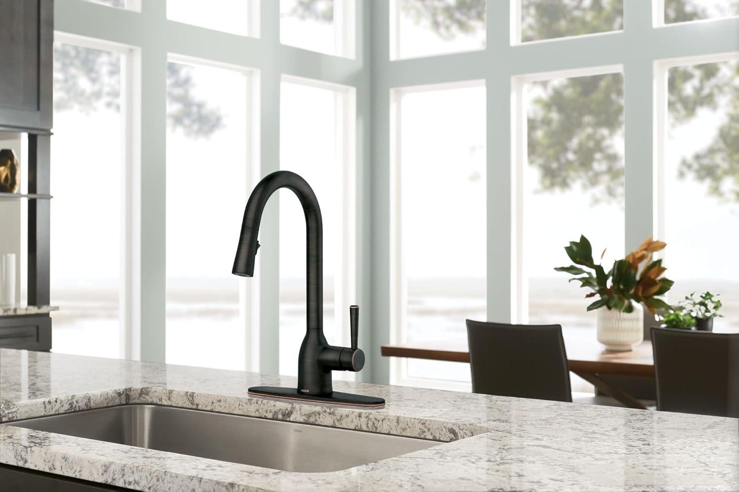 Moen Adler Pull Down Single Handle Kitchen Faucet with Accessories 87233BRB