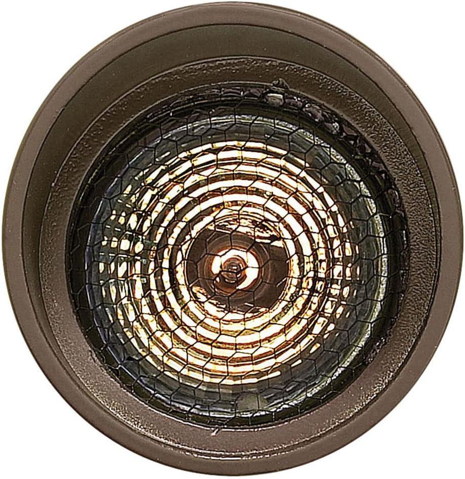 Bronze Low Voltage LED Outdoor Spot Light with Clear Lens
