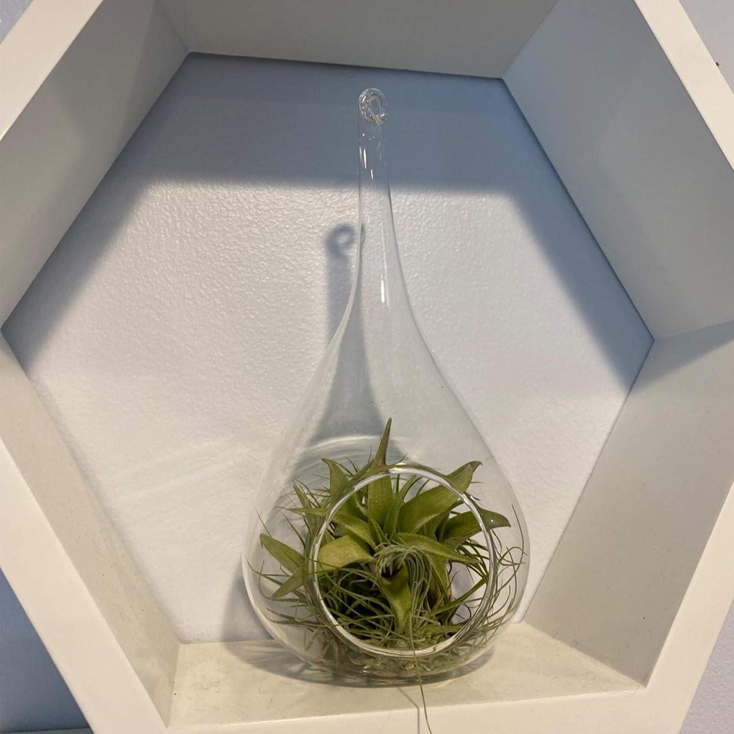 WGV Clear Tear Drop Hanging Glass Terrarium / Candle Holder - 4" Wide x 9.5" Height, Good quality Terrarium - 1 Pc