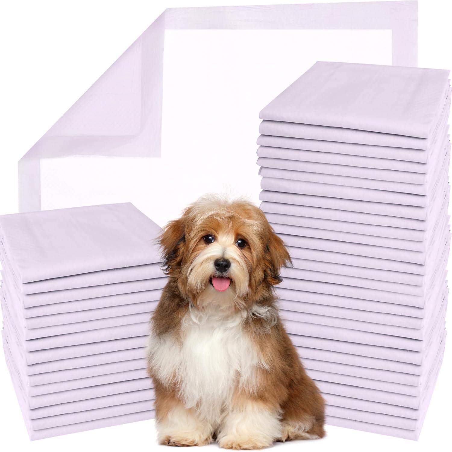 Large Lavender Scented Waterproof Dog Pee Pads, Pack of 80