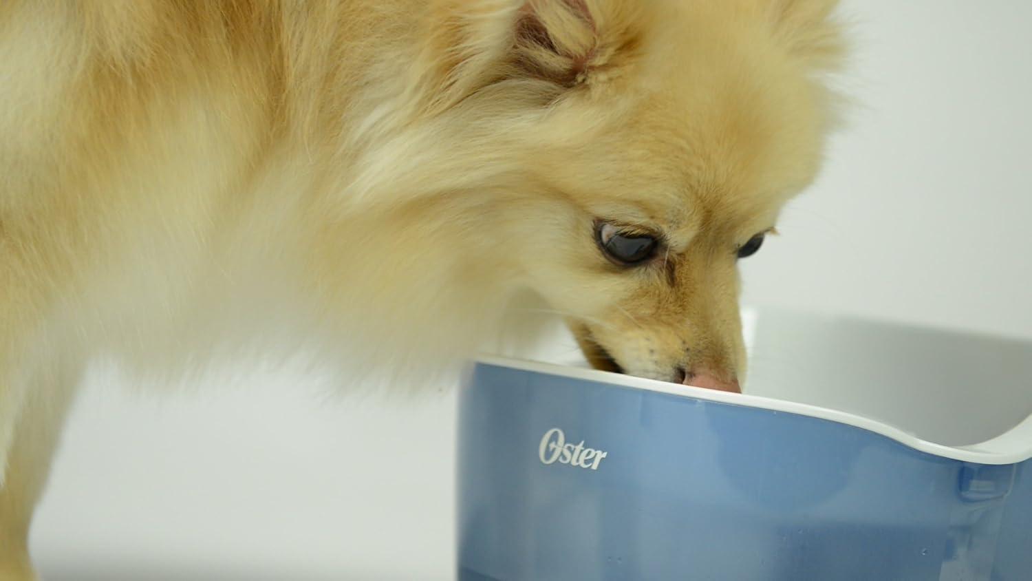 Oster Fresh Sips Less Stress Pet Water Fountain, 60 fl. oz. C42