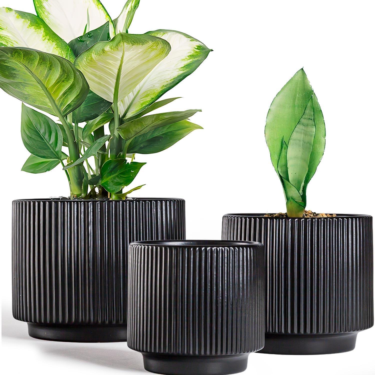 Set of 3 Black Ribbed Ceramic Planter Pots with Drainage