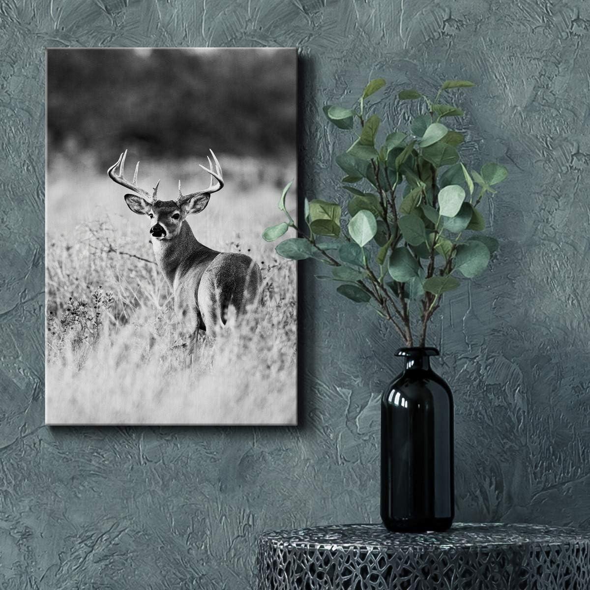 Shadudu Gallery Buck in Field Wall Art, Black & , Animal Artwork, Portrait Decor, Hunting Decorations, Premium Gallery Wrapped Canvas, Ready to Hang, 24x36in