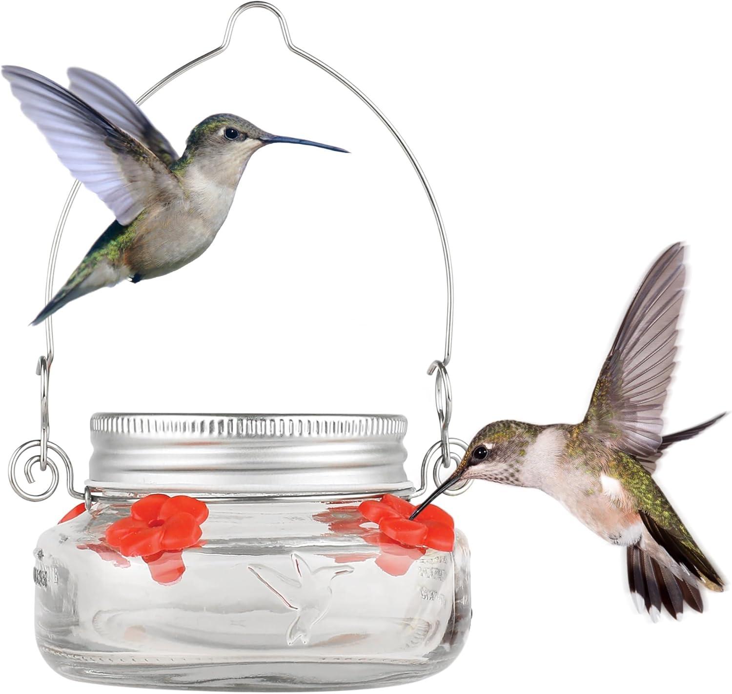 Nature's Way Bird Products Mason Jar Hummingbird Dish Feeder, 6 oz