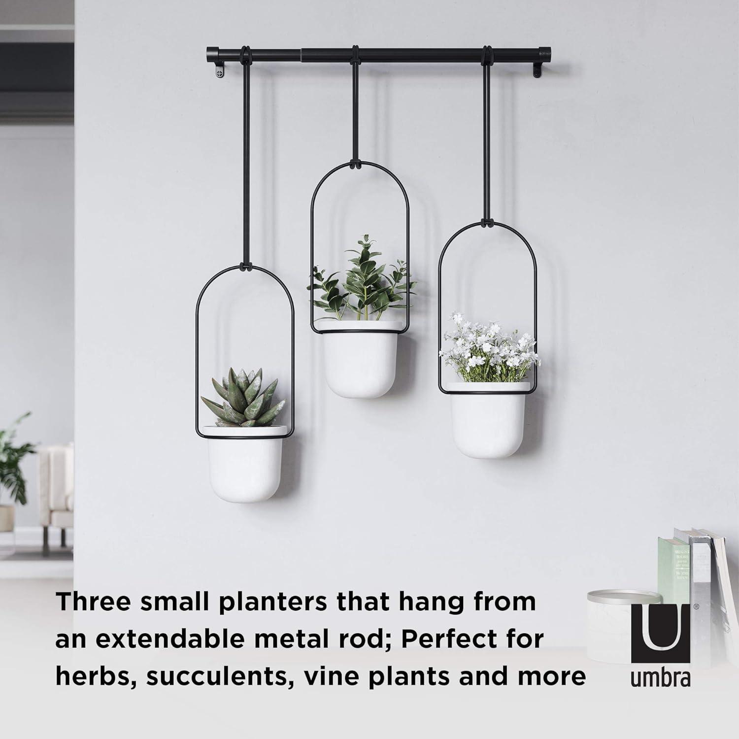 Tri-Flora Hanging Planter