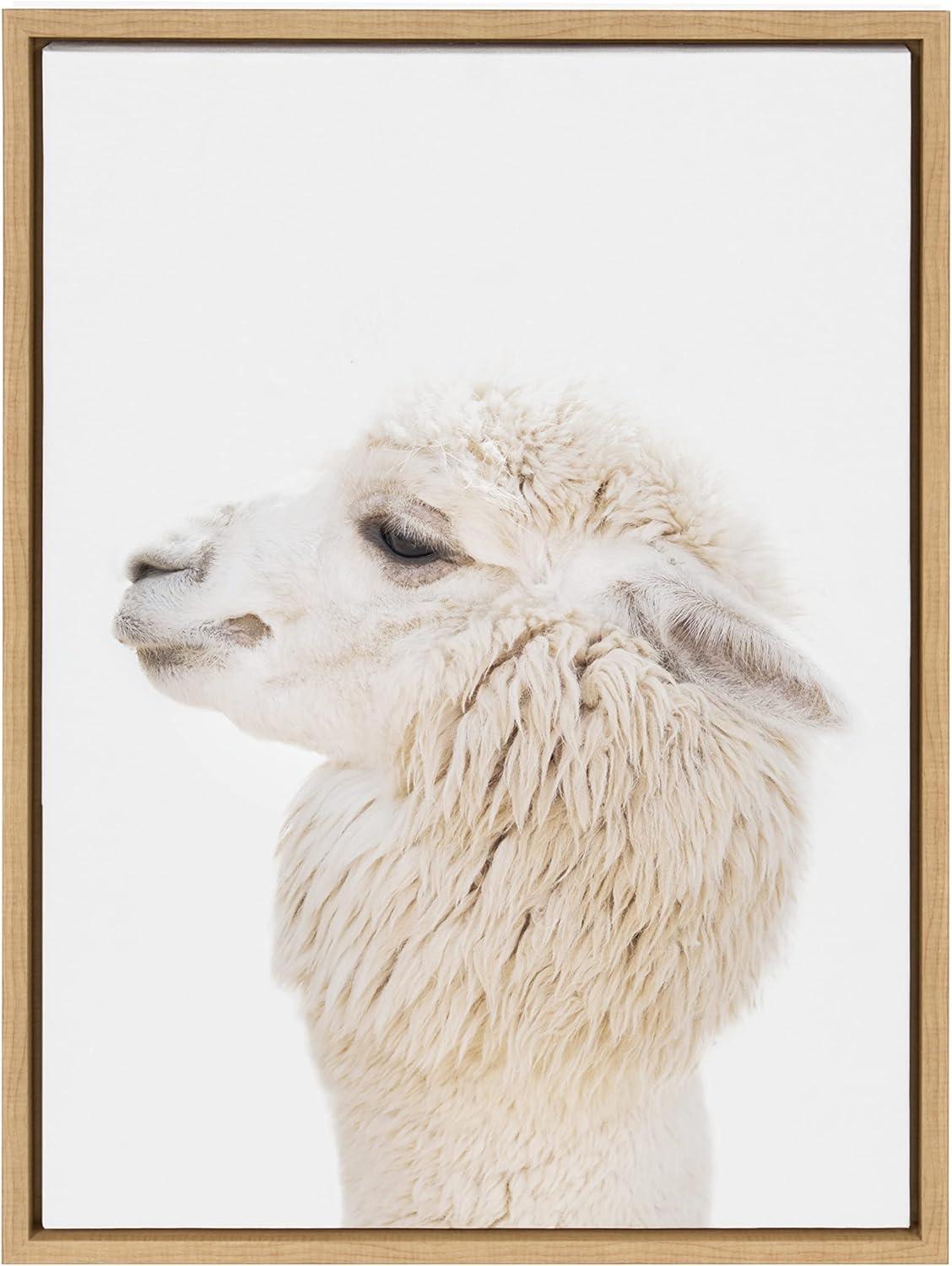 18" x 24" Sylvie Animal Studio Alpaca Profile Frame Canvas by Amy Peterson - Kate & Laurel All Things Decor