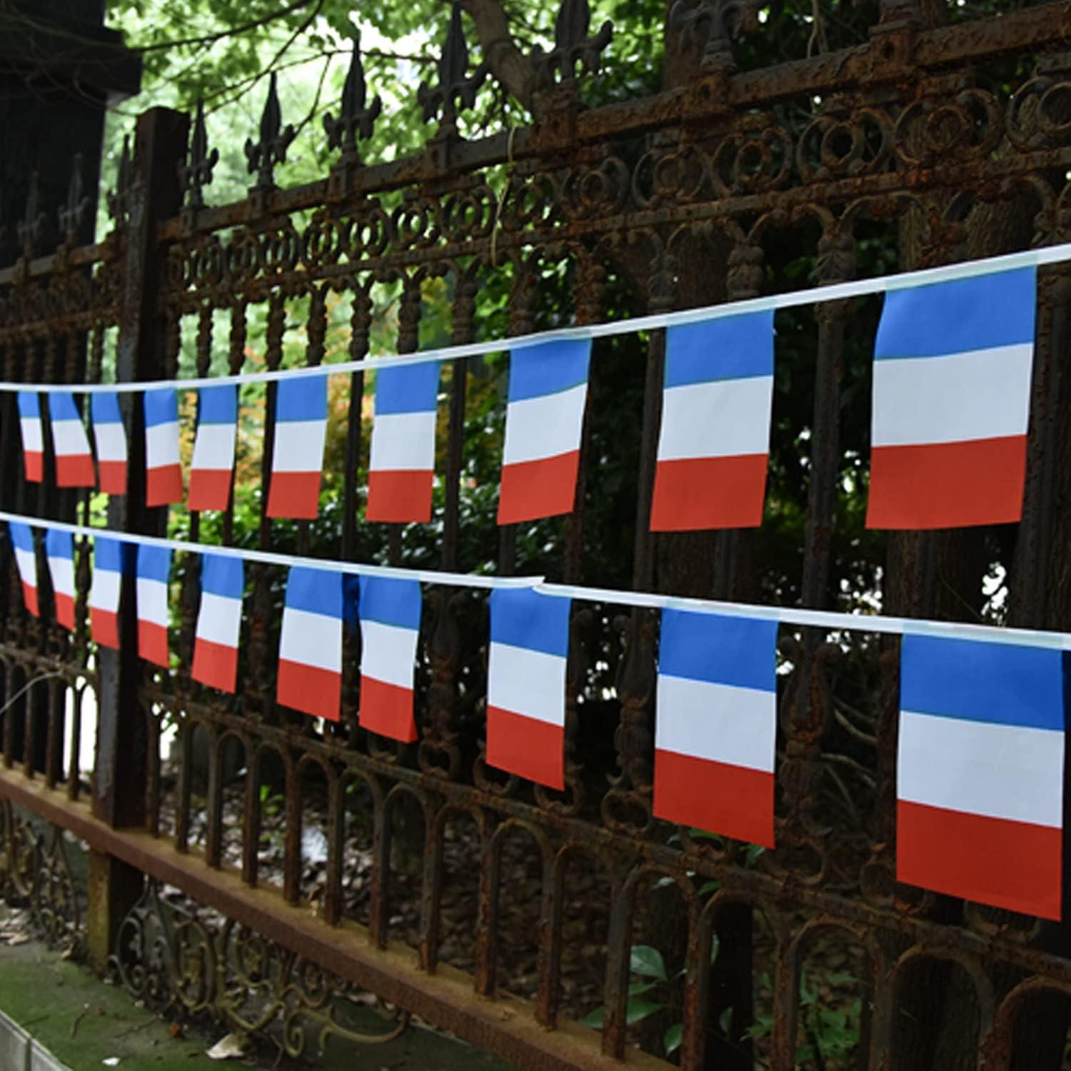 Anley France String Flag Pennant Flags, Patriotic Events 14th of July French Bastille Day Decoration Sports Bars - 33 Feet 38 Flags