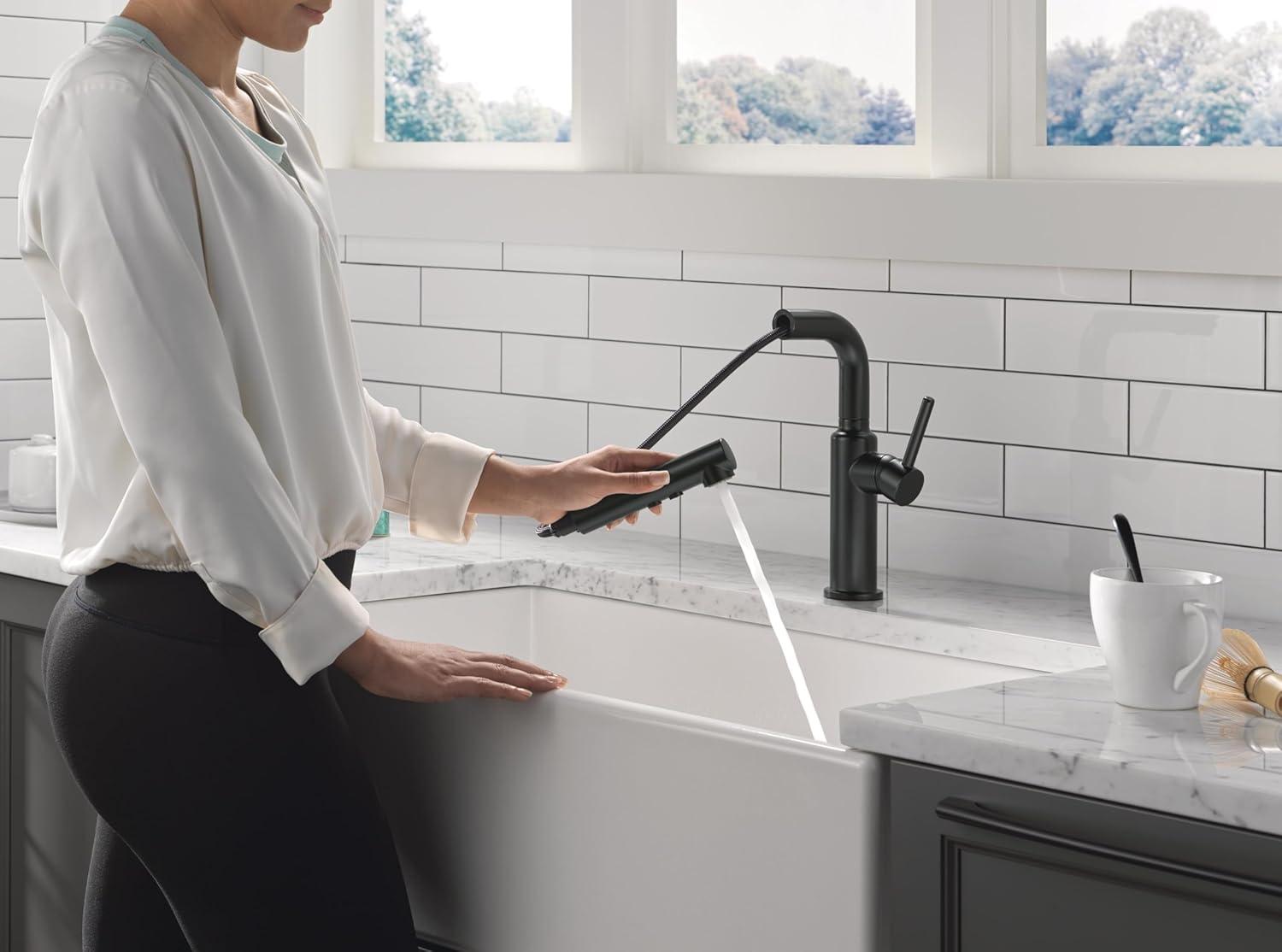Daneri Pull-Out Sprayer Kitchen Faucet, Single Handle Kitchen Sink Faucet