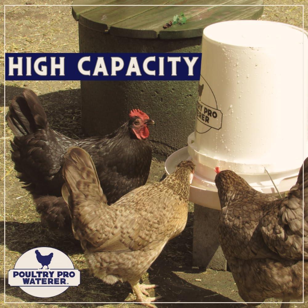 The Original Poultry Pro Waterer | DIY Chicken Waterer for Chicken Coop | Hands Free Poultry Waterer Suitable for Pigeons, Ducks, Chickens & Other Smaller Birds - Fits All 5 Gallon Buckets