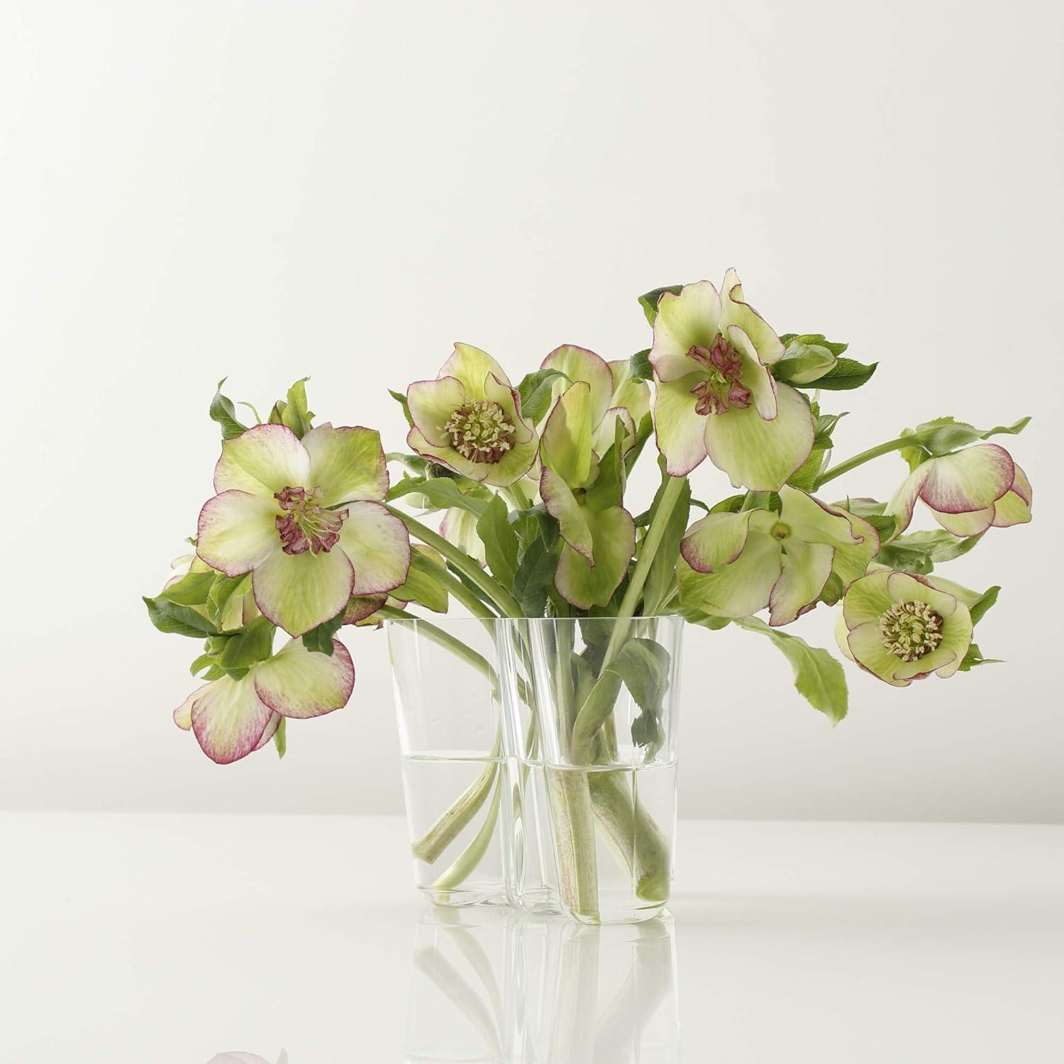 Clear Glass Alvar Aalto Bouquet Vase, 6.25"