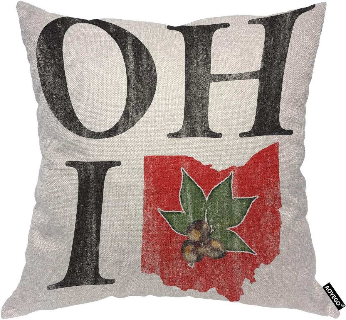 AOYEGO Oh I Love Ohio States Throw Pillow Cover Vintage Red Buckeye Nut Pillow Case 18x18 Inch Decorative Men Women Room Cushion Cover for Home Couch Bed