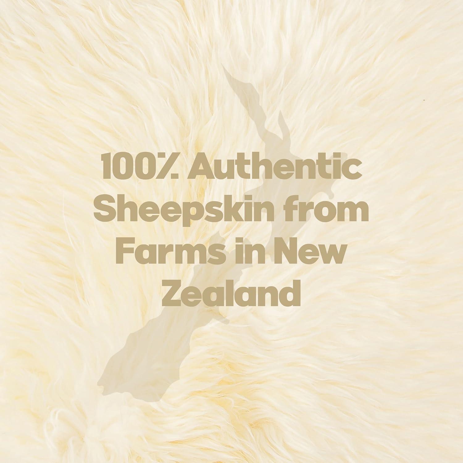 Natural New Zealand Sheepskin Chair Pad | 4-Pack | Natural | 17"x17"