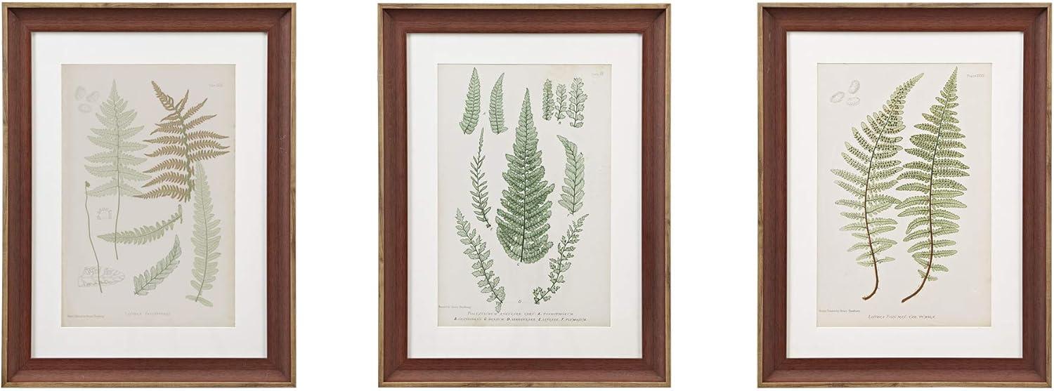 Lady Fern Collection Green Framed Botanical Wall Art Set