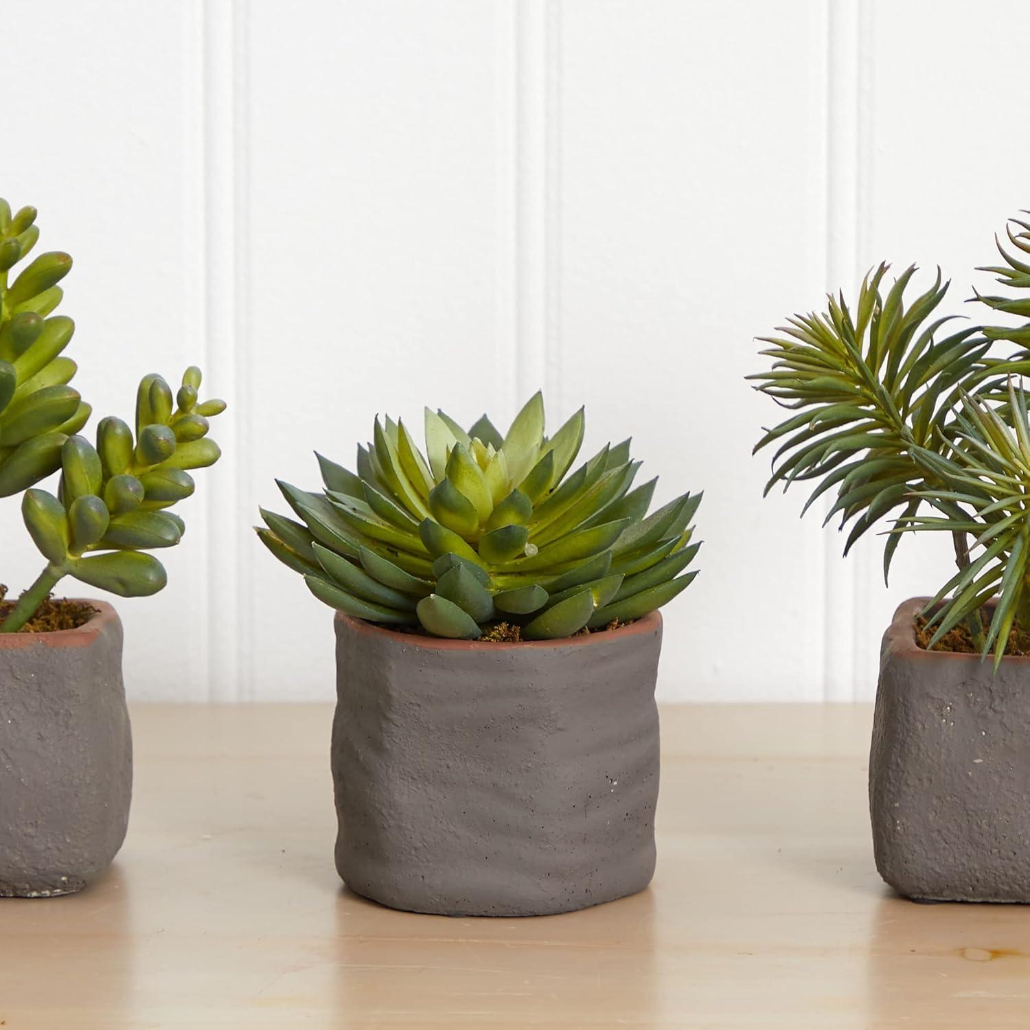 Set of Three Green Faux Succulent Plants in Ceramic Pots