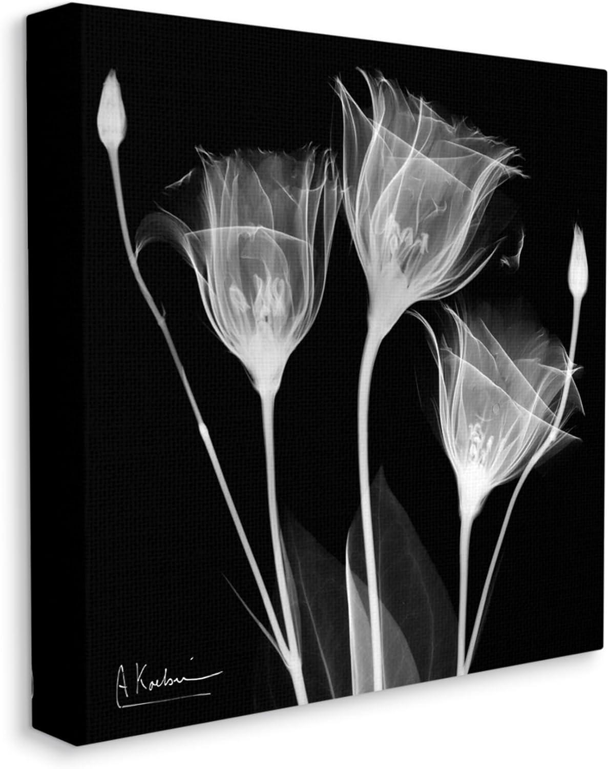 Stupell Industries Contemporary Tulip X-Ray Botanical & Floral Photography Gallery Wrapped Canvas Print Wall Art, 24 x 24