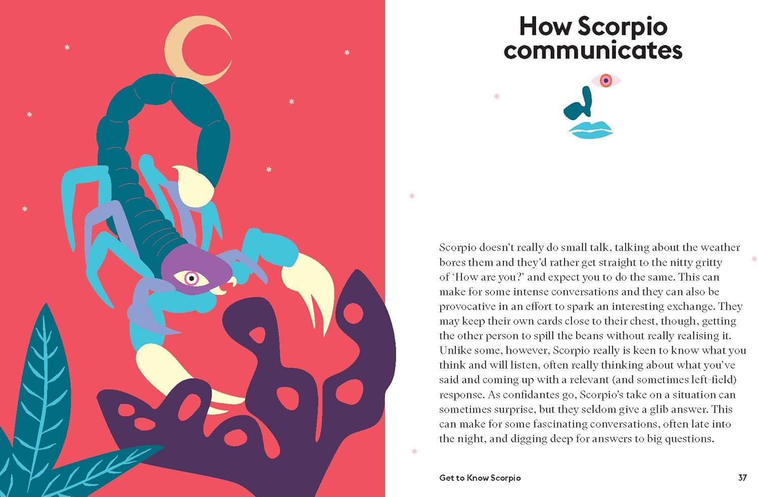 Scorpio - (Hg Seeing Stars) by  Stella Andromeda (Hardcover)