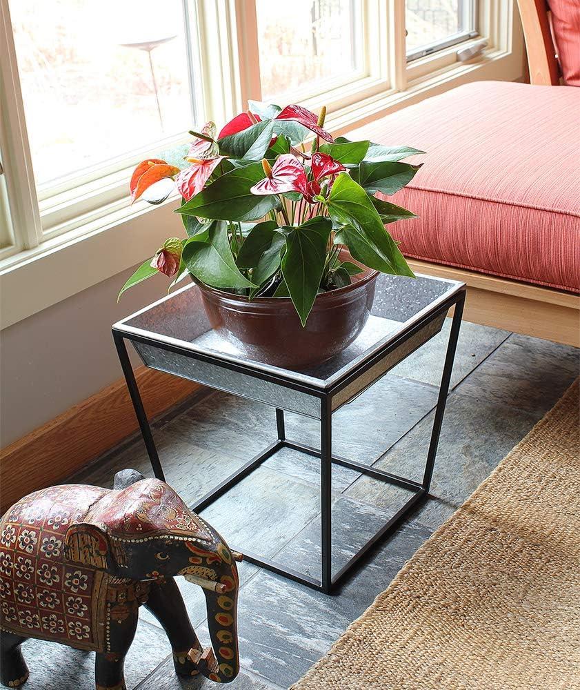 Arne Stand with Galvanized Tray, Tall