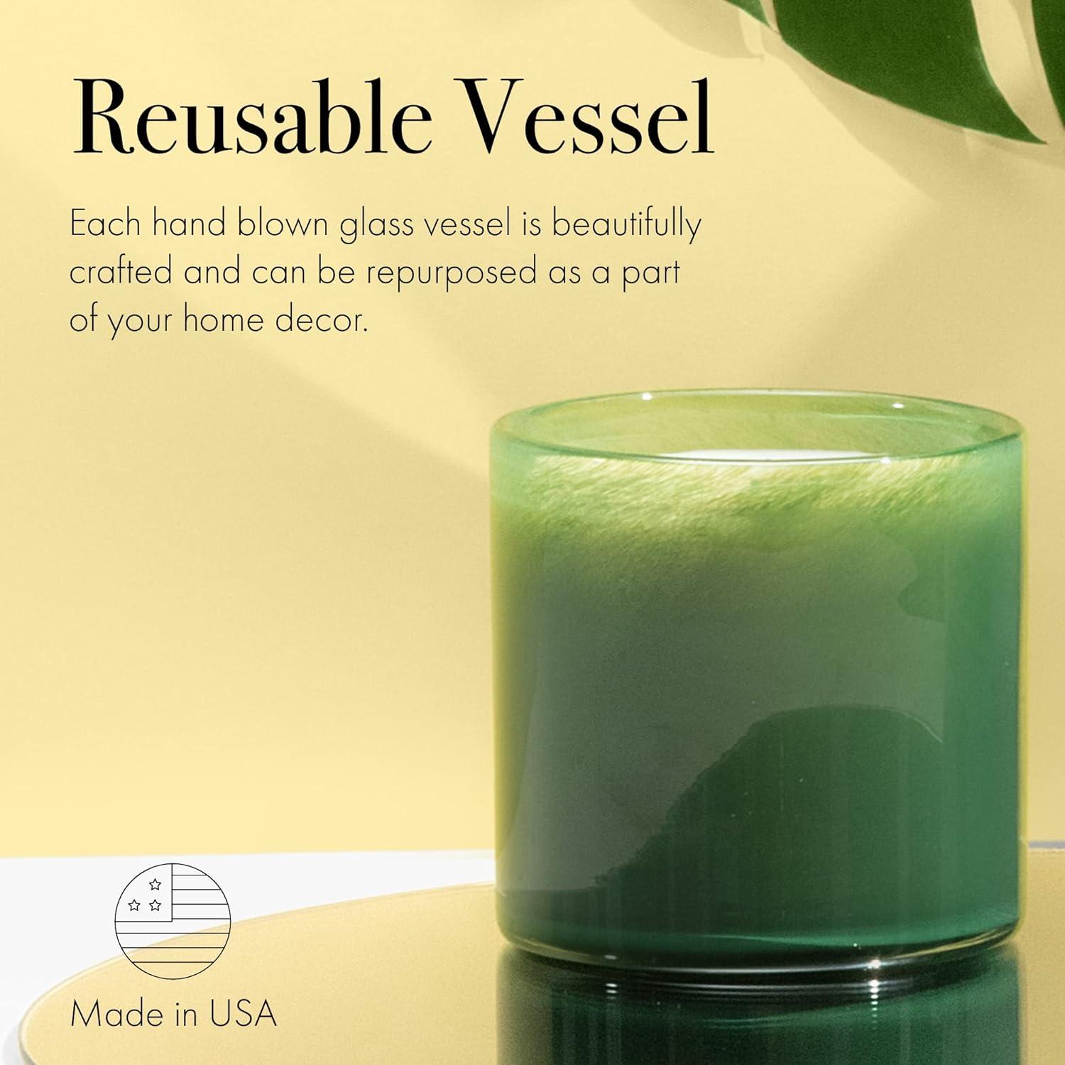 Treehouse Retreat 15.5oz Soy Wax Candle with Coconut & Mango Wood Notes