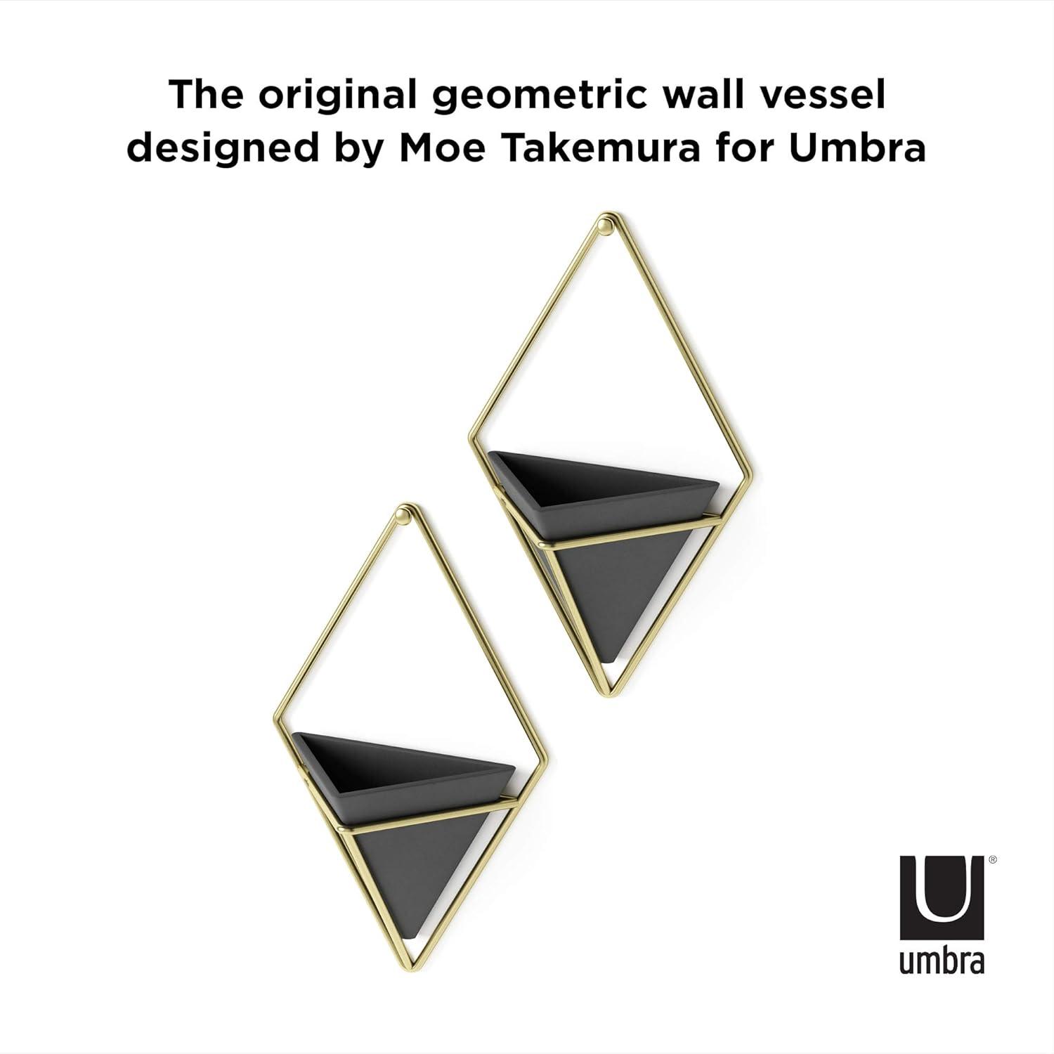 Trigg Wall Décor (Set of 2)