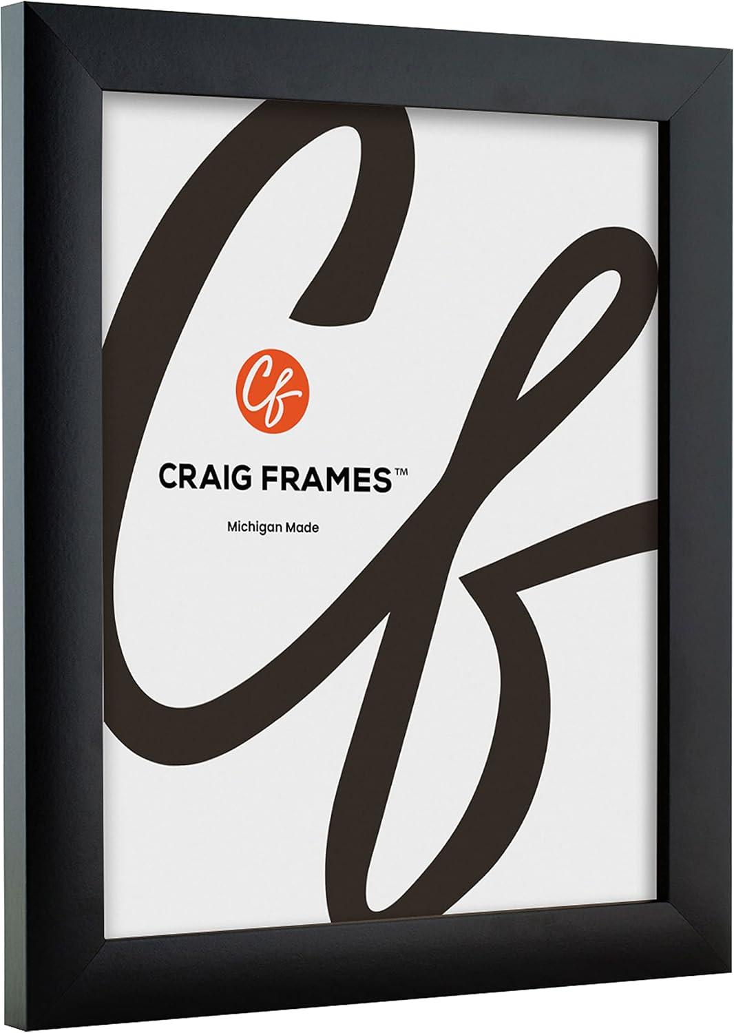 Craig Frames 1WB3BK 17 x 22 Inch Black Picture Frame Matted to Display a 13 x 19 Inch Photo
