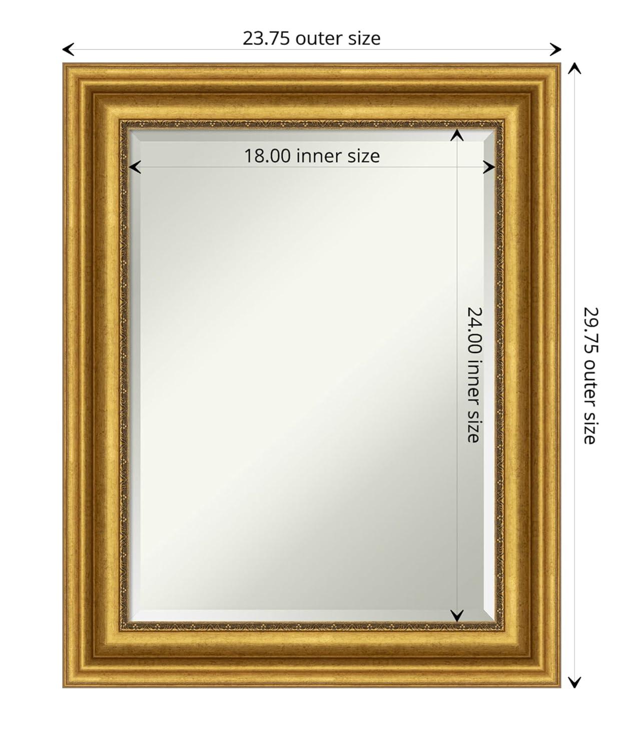 Amanti Art Parlor 23.75-in x 29.75-in Framed Rectangle Bathroom Vanity Mirror ( Antique Gold )
