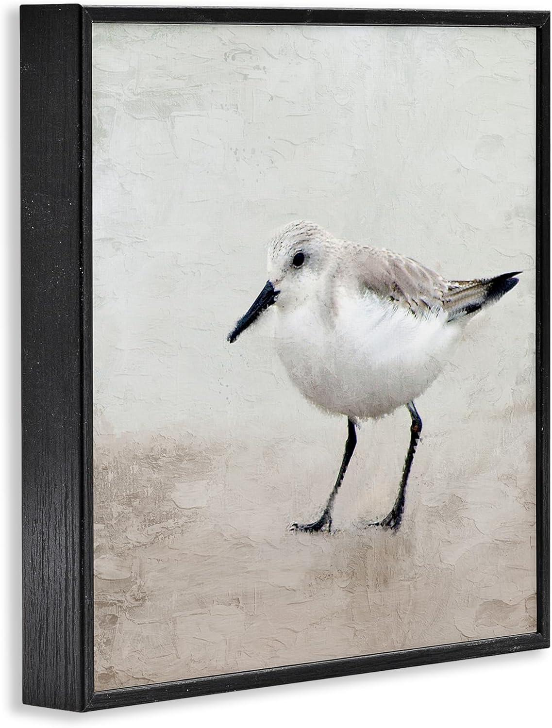 Stupell Industries Lone Sandpiper Bird Portrait, 12" x 12"