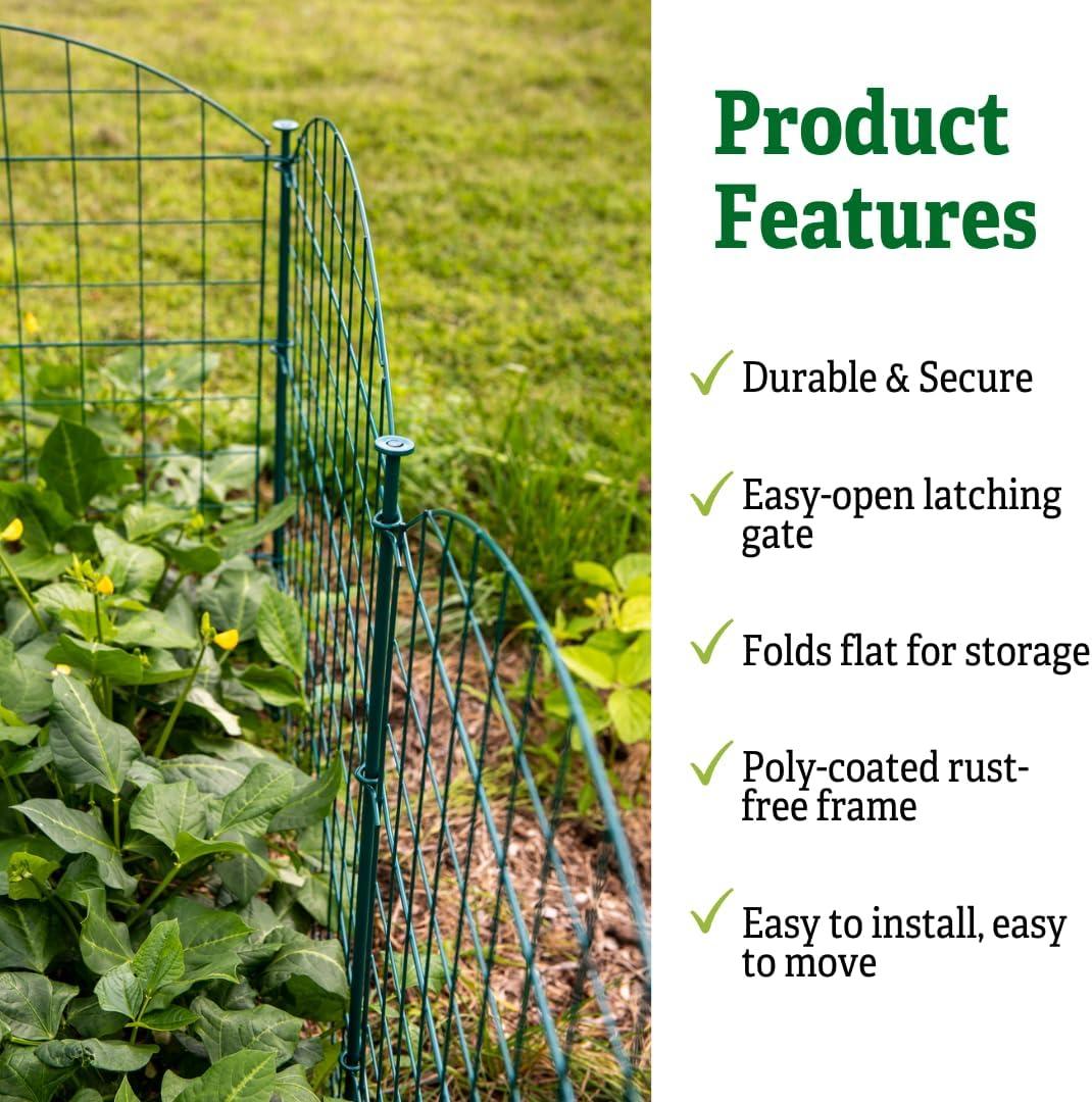 6-Panel Green Iron Garden Fence with Gate