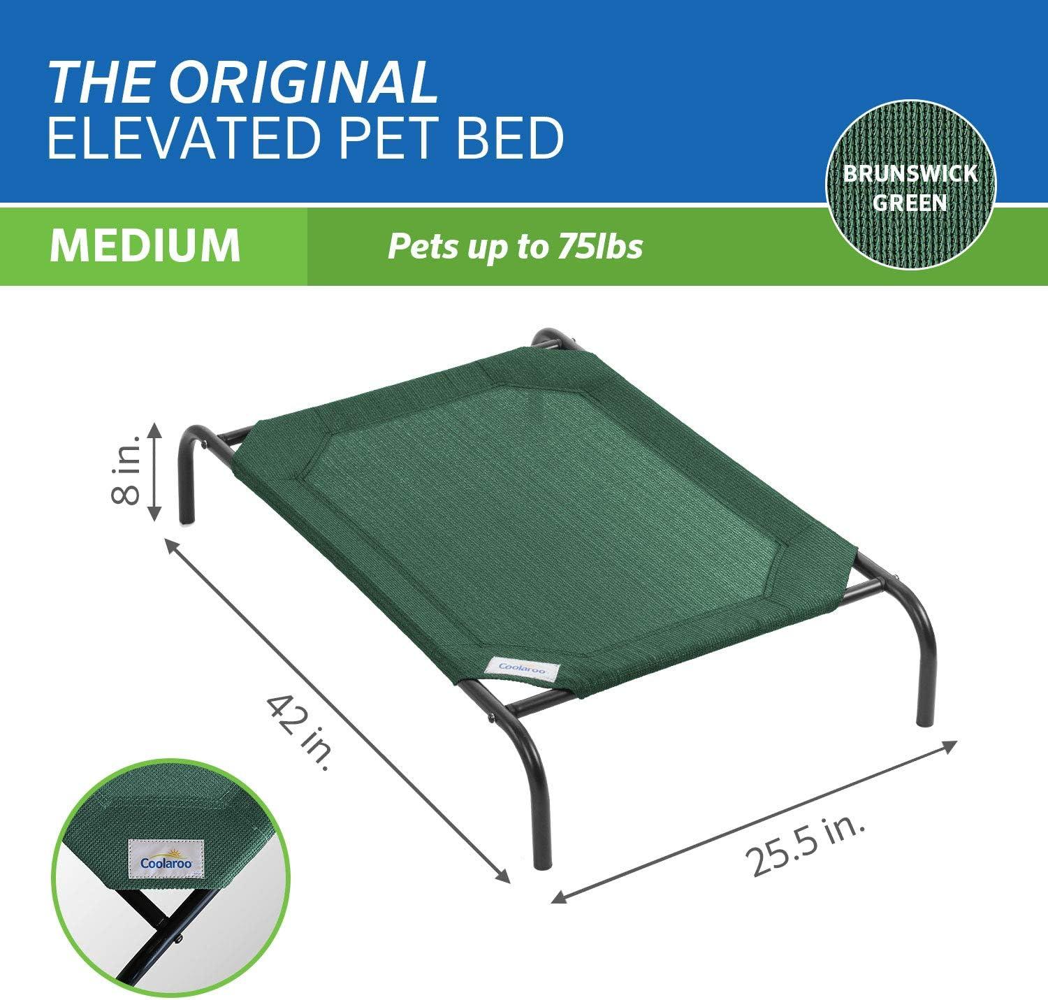 The Original Coolaroo Elevated Pet Dog Bed for Indoors & Outdoors, Medium, Green