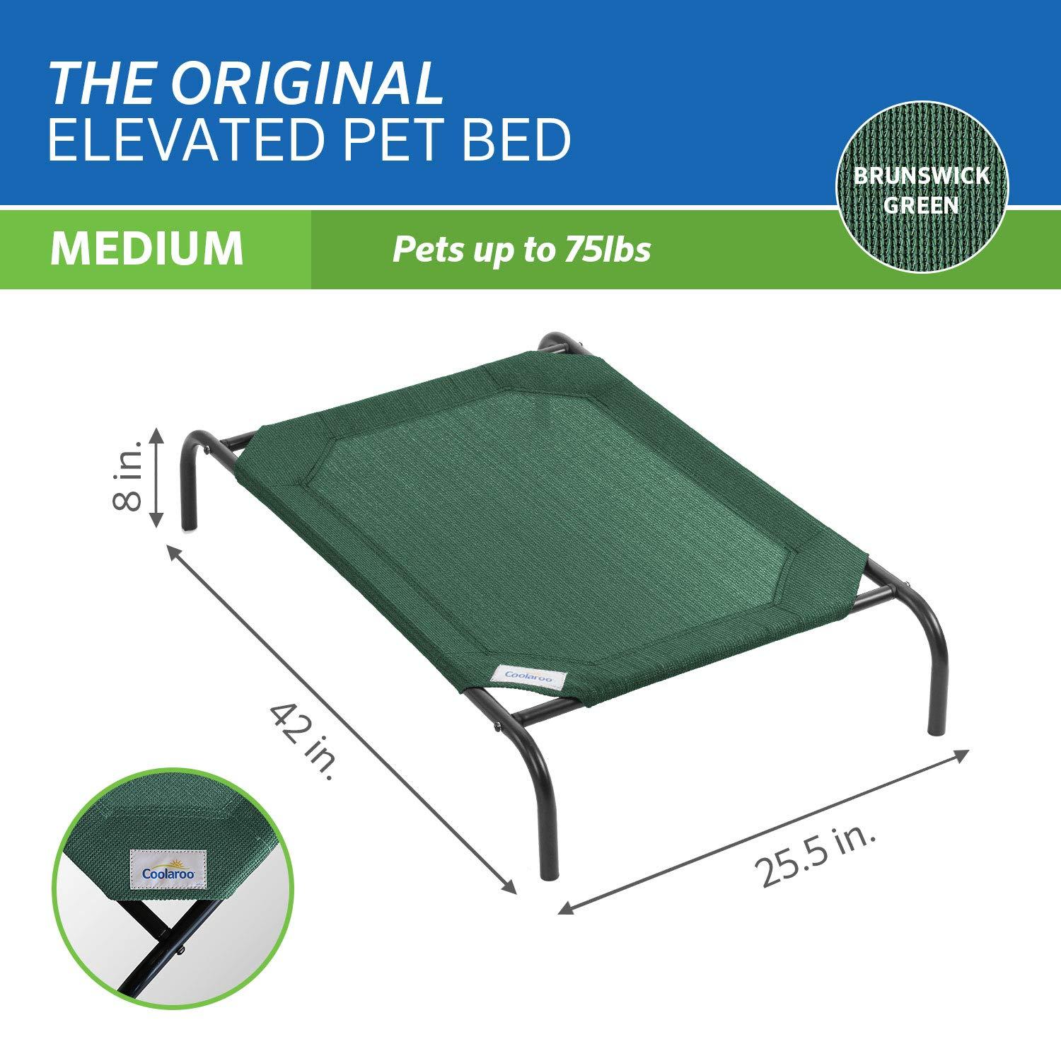 The Original Coolaroo Elevated Pet Dog Bed for Indoors & Outdoors, Medium, Green