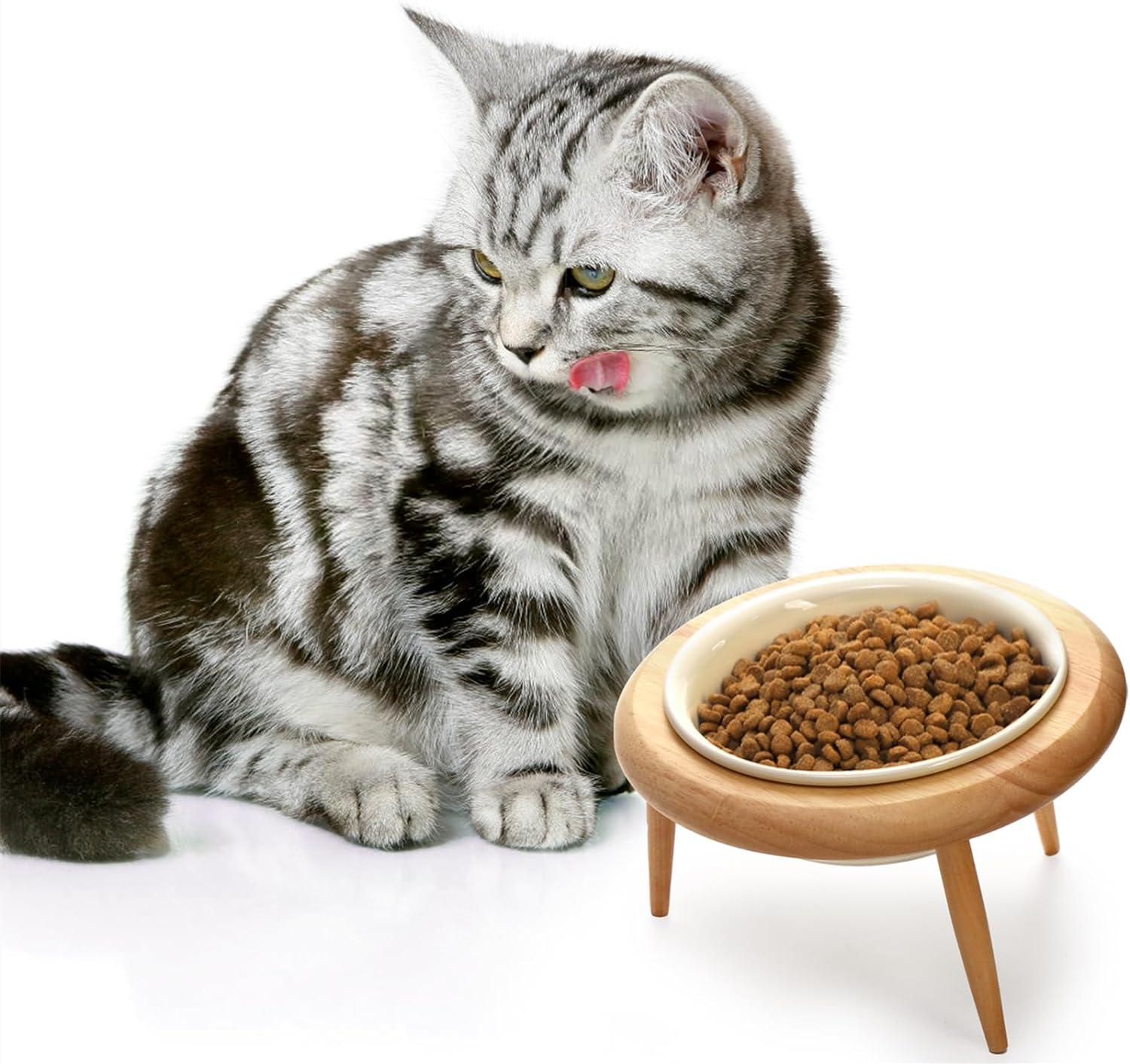 DEAYOU Ceramic Cat Bowl Adjustable, Tilted Elevated Raised Dish, No Spill Food Water Feeder, Slanted Dog Bowl with Wood Stand for Kitty, Supplies, Stress Free, 600 ML/20 OZ, Cream White C49