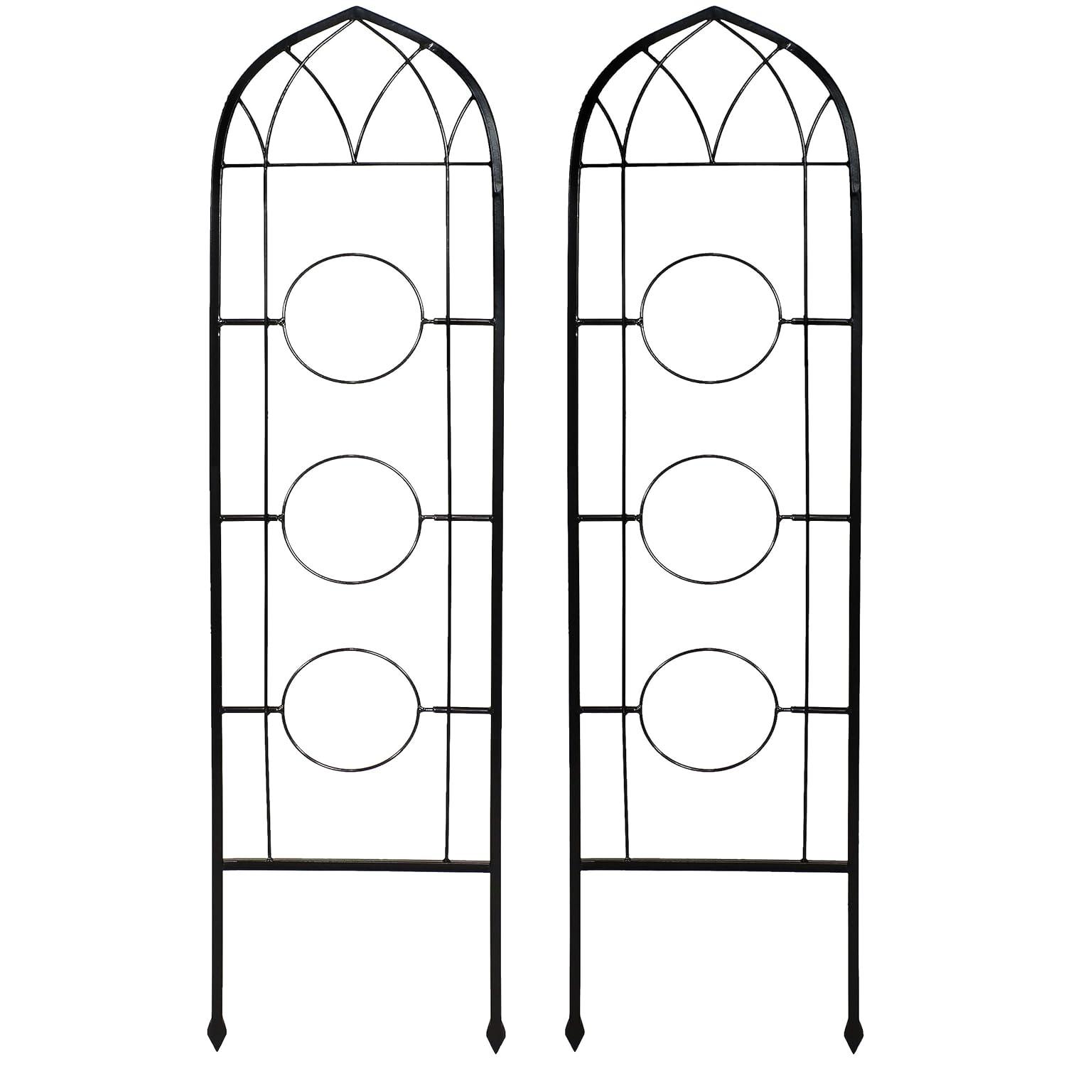 Winston Porter Avonlee Black Steel Arched Garden Trellis for Climbing Plants (Set of 2)